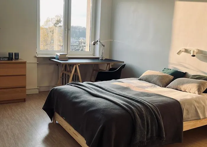 Apartment Swietojanska - Park